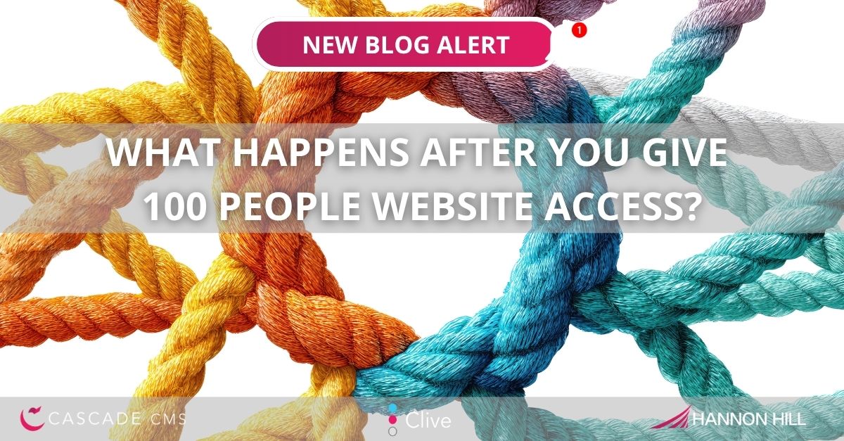 Promotional graphic with interwoven colorful ropes and the headline “What happens after you give 100 people website access?” plus a “New blog alert” label.