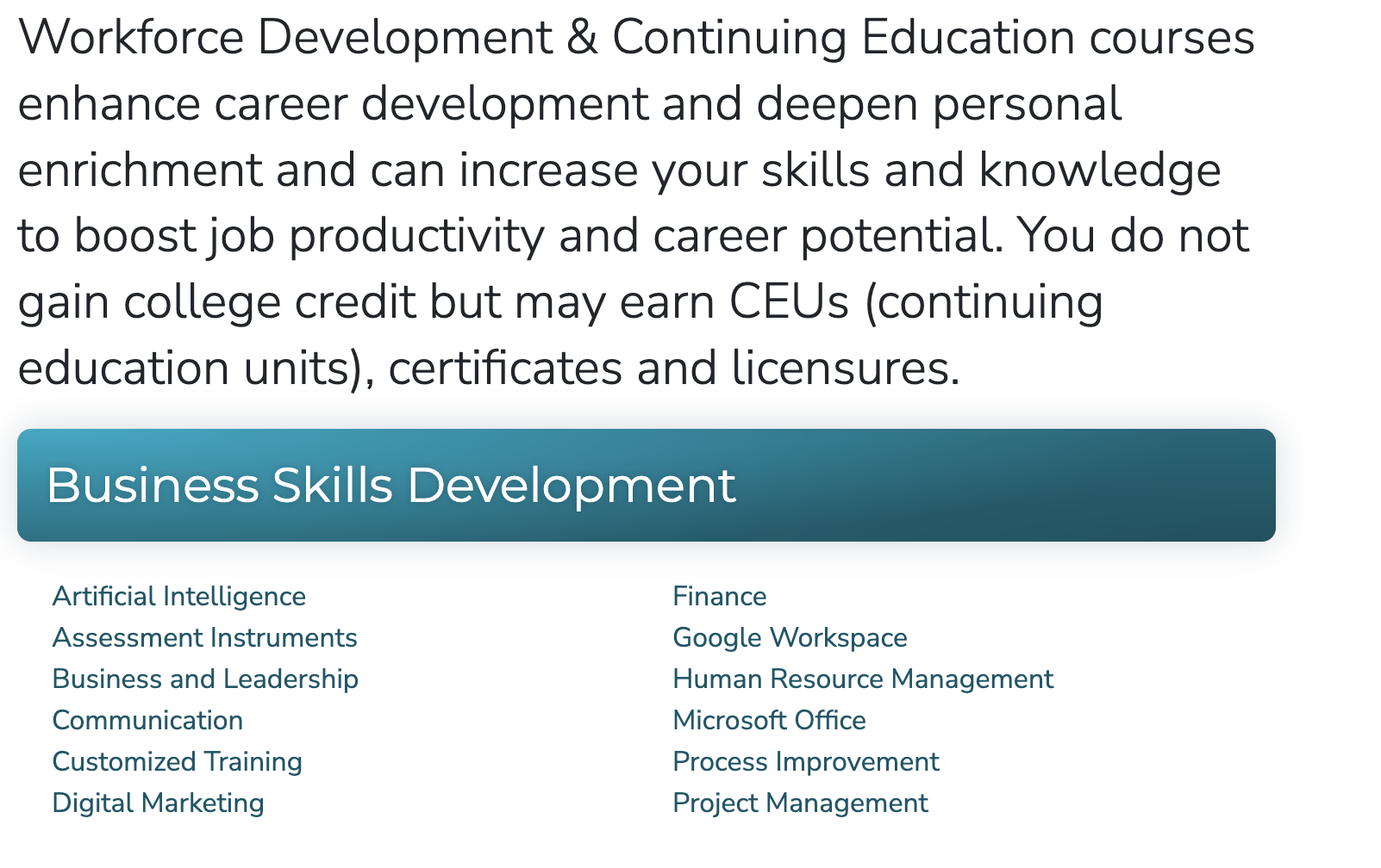 Graphic illustrating the section for Business Skills Development courses, highlighting topics such as Artificial Intelligence, Finance, and Project Management.