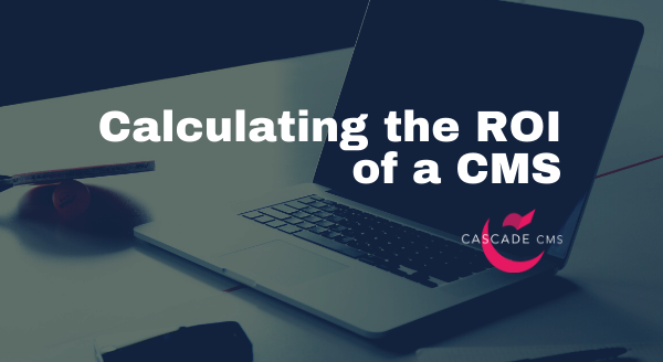 calculating-the-roi-of-a-cms.png