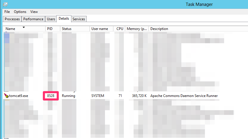 Cascade CMS process id shown in Windows Task Manager