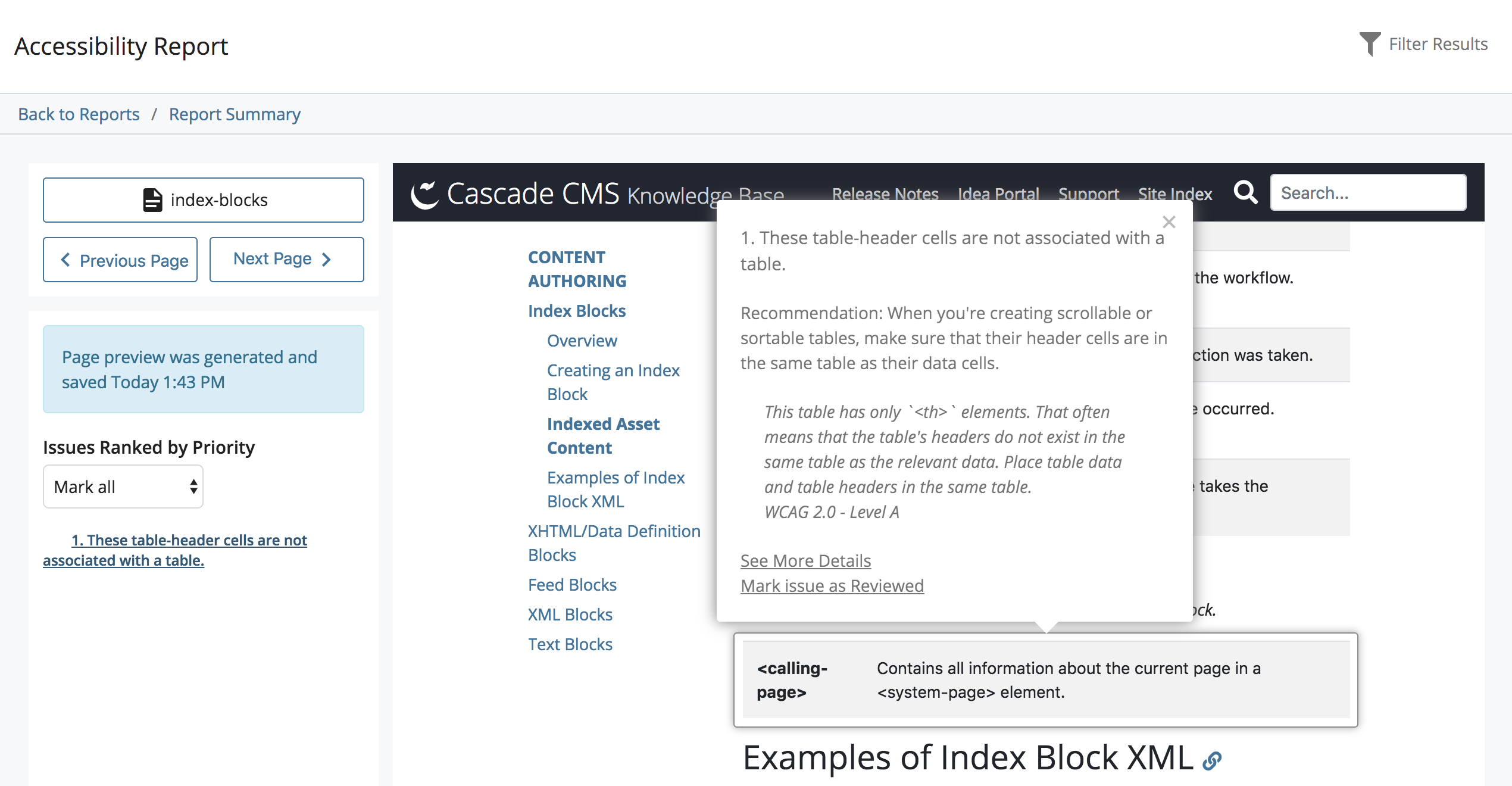 The Accessibility report page view, listing individual issues found on one page