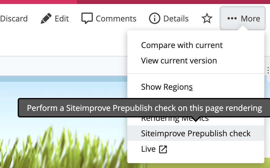 Siteimprove Prepublish check