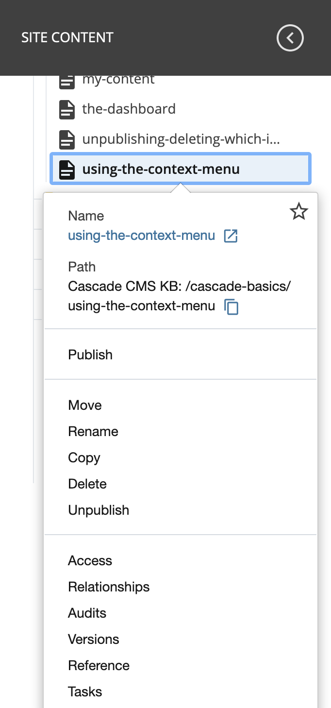 asset context menu