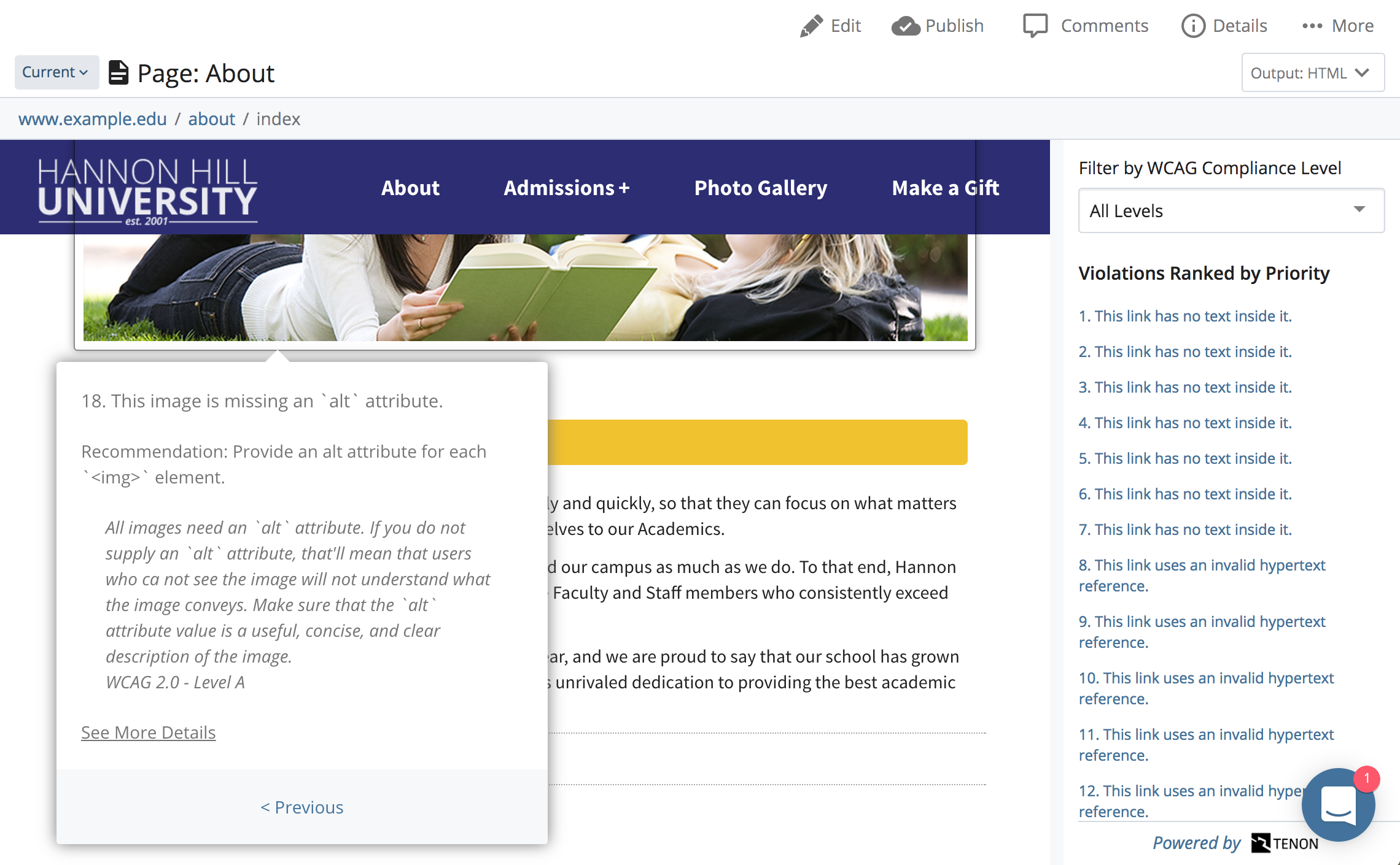 Screenshot of page-level accessibility checker